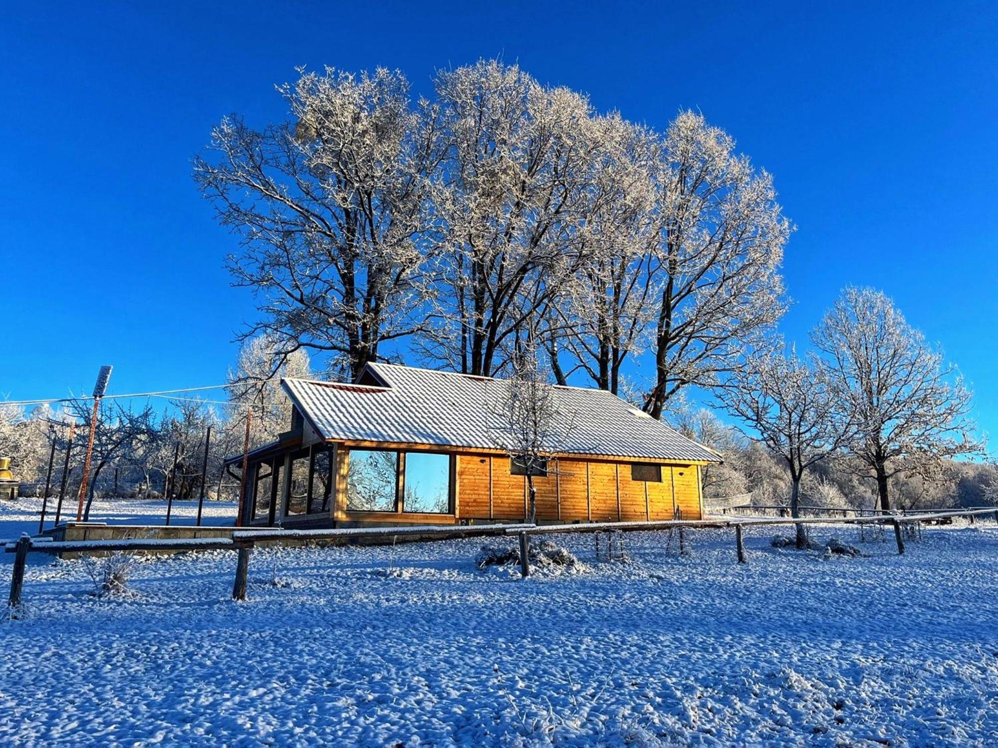 Casuta Din Stejari-Transalpina Villa Novaci-Straini Bagian luar foto